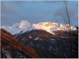 Volovljek - Kranjska reber